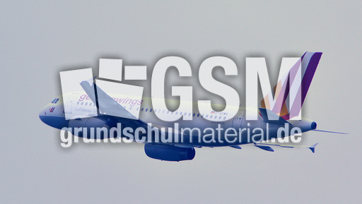 Airbus A319-100_6.jpg